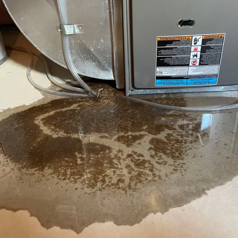 Pipe Burst and Leak Restoration in Seaside, CA
